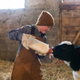 Illustration for article titled Now is as good a time as any to take a virtual tour of a small dairy farm
